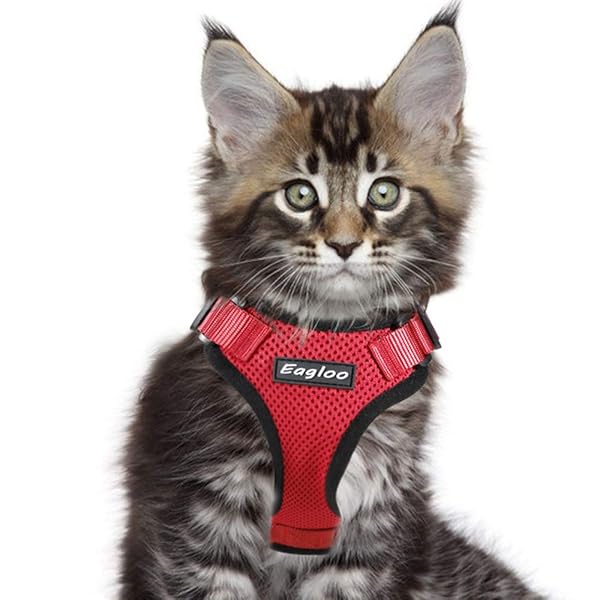 Eagloo Cat Harness Escape Proof Small Cat And Dog Harness Soft