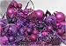 125-Piece Club Pack of Shatterproof Purple & Fuschia Pink Christmas Ornaments