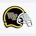 Neon Football Helmet Light Wake Forest Demon Deacons