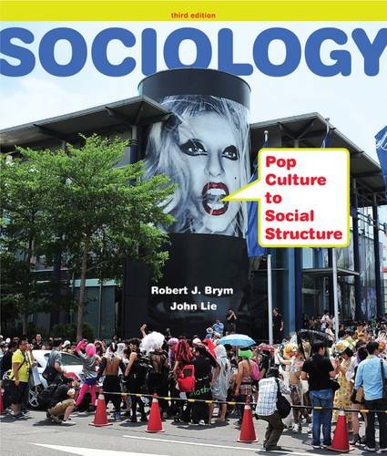 sociology pop culture to social structure