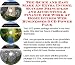 The Quick and Easy Make An Extra Income, Success Principles and Accounting & Finance for Work At Home Guides Web Businesses 3 CD Power Pack
