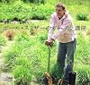 ポール・スミザーのガーデン講座 選ぶことから植えるまで
