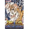 Saint Seiya - The Lost Canvas, Tome 9 :
