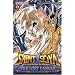 Saint Seiya - The Lost Canvas - Hades Vol.9