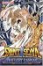 Saint Seiya - The lost Canvas, Tome 9 :