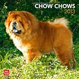 Chow Chows 2013 - Original BrownTrout-Kalender