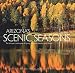 Arizona's Scenic Seasons: The Unique Landscapes of Spring, Summer, Autumn and Winter