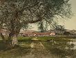 Grounds of California's Mission San Antonio de Padua, ca. 1898 - Exceptional Print of a Vintage Photochrom Image from the Library of Congress Collection