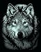 Mammut A30PSFMD - Kratzbild Mini Silber - Wolf, 11 x 18 cm