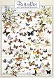 Butterflies Poster - Laminated