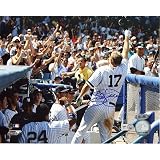 Steiner Sports MLB New York Yankees Shelley Duncan Curtain Call (16 x 20-inch)