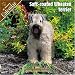 Soft-coated Wheaten Terrier 2008 Wall Calendar