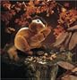 Chipmunk Puppet