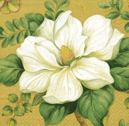 Caspari Magnolia 20