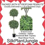 Artificial Outdoor Indoor 4 foot 6 inch Boxwood 2 Ball Topiary Tree, branches on real wood trunk, packed with peanuts