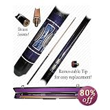 PURPLE MATRIX Designer Pool Stick - Billiards ></a></td></tr>
<tr><td><h1><a rel=