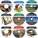 Next Generation 9 CD No Money Down, Millionaire Making Real Estate Investing Course