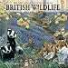 British Wildlife by Pollyanna Pickering 2009 Calendar