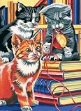 Kitten on Books Paint By Numbers Kit - B000FGG9Y0