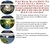 The Mega How To Earn Extra Money, Marketing and Success Principles for Belt Buckles Web Biz 3 Course + Resource Guide