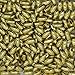 3x6mm Oval Oat Rice Melon Bright Goldtone Metalized Economy Beads