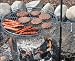Camerons Products Pioneer Campfire Grill