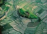 Ravensburger 19283 - Earth from above - Bauernhof inmitten von Feldern - 1000 Teile Puzzle (exklusiv bei amazon.de) - Ravensburger
