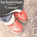 Gallagher: Symphony No. 1, 
