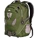 61cU43wE cL. SL75  High Sierra Fat Boy Backpack, Amazon/Ash