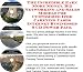 Book The Incredible Earn More Money, Biz Networking and Sales Models for Customized Ipod Carrying Cases Internet Businesses 3 CD Power Pack
