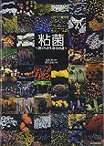 粘菌―驚くべき生命力の謎 粘菌―驚くべき生命力の謎