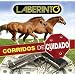 Corridos De Cuidado