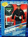 G.I. Joe Hall of Fame Dress Marine Gung Ho 12in Collectors Figure