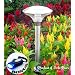 SohoDecor 3 Pack Grand SkyDome Stainless Steel Landscaping Solar Light - New 2009 4 LEDs Edition