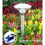 SohoDecor 3 Pack Grand SkyDome Stainless Steel Landscaping Solar Light - New 2009 4 LEDs Edition