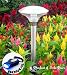 SohoDecor 2 Pack Embossed Tower Solar Post Light with 4.5 Inch Ultra High Sensitive PV Solar Panel
