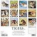 2016 Tigers Wall Calendar