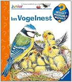Im Vogelnest - Andrea Erne