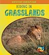 Hiding in Grasslands (Creature Camouflage)[Paperback]