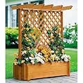 PROMEX Pflanzkasten Rankkasten mit Pergola