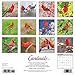 Cardinals 2017 Wall Calendar