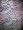 Azure Paisley Jamawar Pashmina India Shawl/wrap Throw Free Shipp Image #5