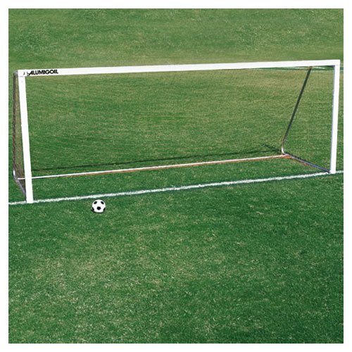 Buy Alumagoal Portable Steel Rectangular Faced Goal by TACVPI