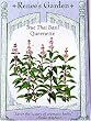 Basil True Thai Queenette Seeds 500 Seeds