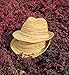 IL Caldo Womens Fascinators Summer Braid Colorful Straw hat Fashion Sun Beach Hats