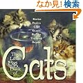 The Little Big Book of Cats