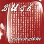 Sixteen Stone Plus 5