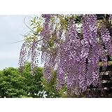 ���i�̏ڍ�