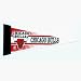 NBA Chicago Bulls Set of 3 Mini Pennants **