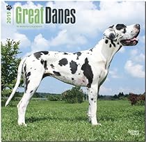 Great Danes (Intl) 2015 Square 12x12